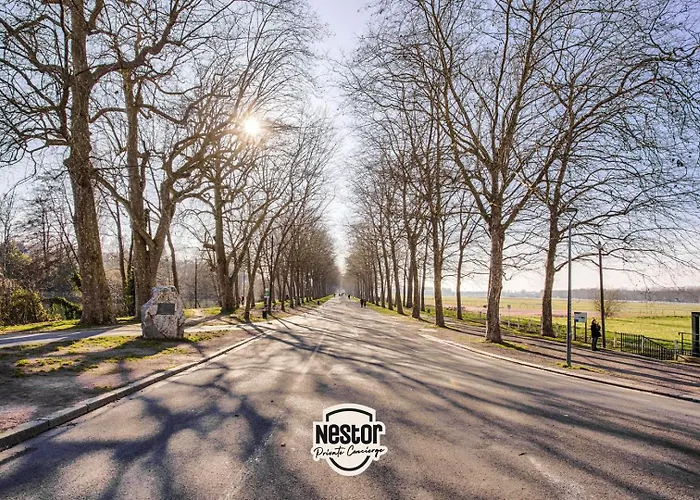 La Casa Sequoia - Peace And Quiet In The City